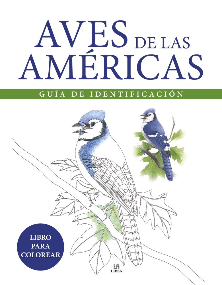 Texto alternativo